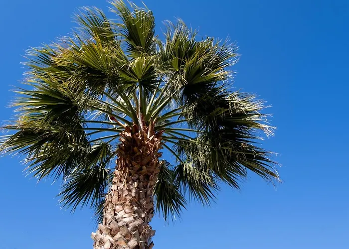 Lägenhet Votistis A2