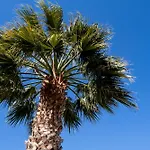 Votistis A2 Apartment Lefkada City