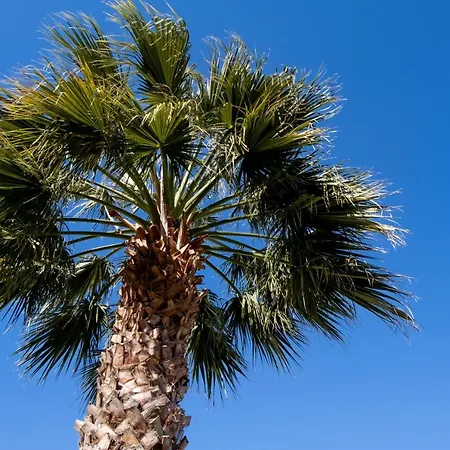 Διαμέρισμα Votistis A2